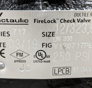 Fire Lock Check Valve